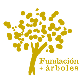 Fundación + árboles