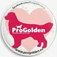 PROGOLDEN