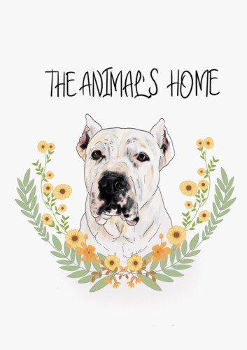 Asociacion Protectora de Animales y Plantas The Animals Home