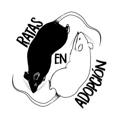 Ratas en Adopción - REA