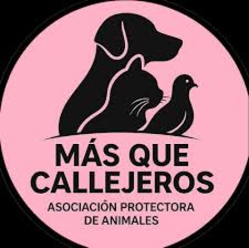 Asoc protectora de animales Mas que callejeros