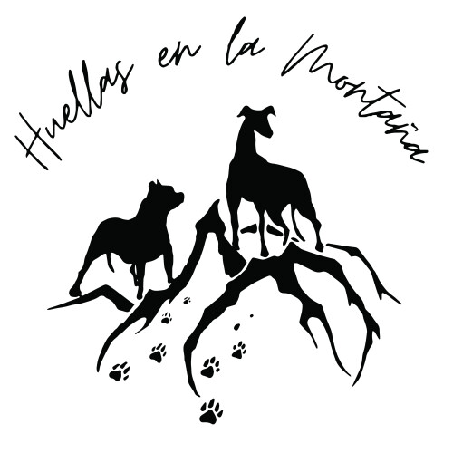  Huellas en la Montaña